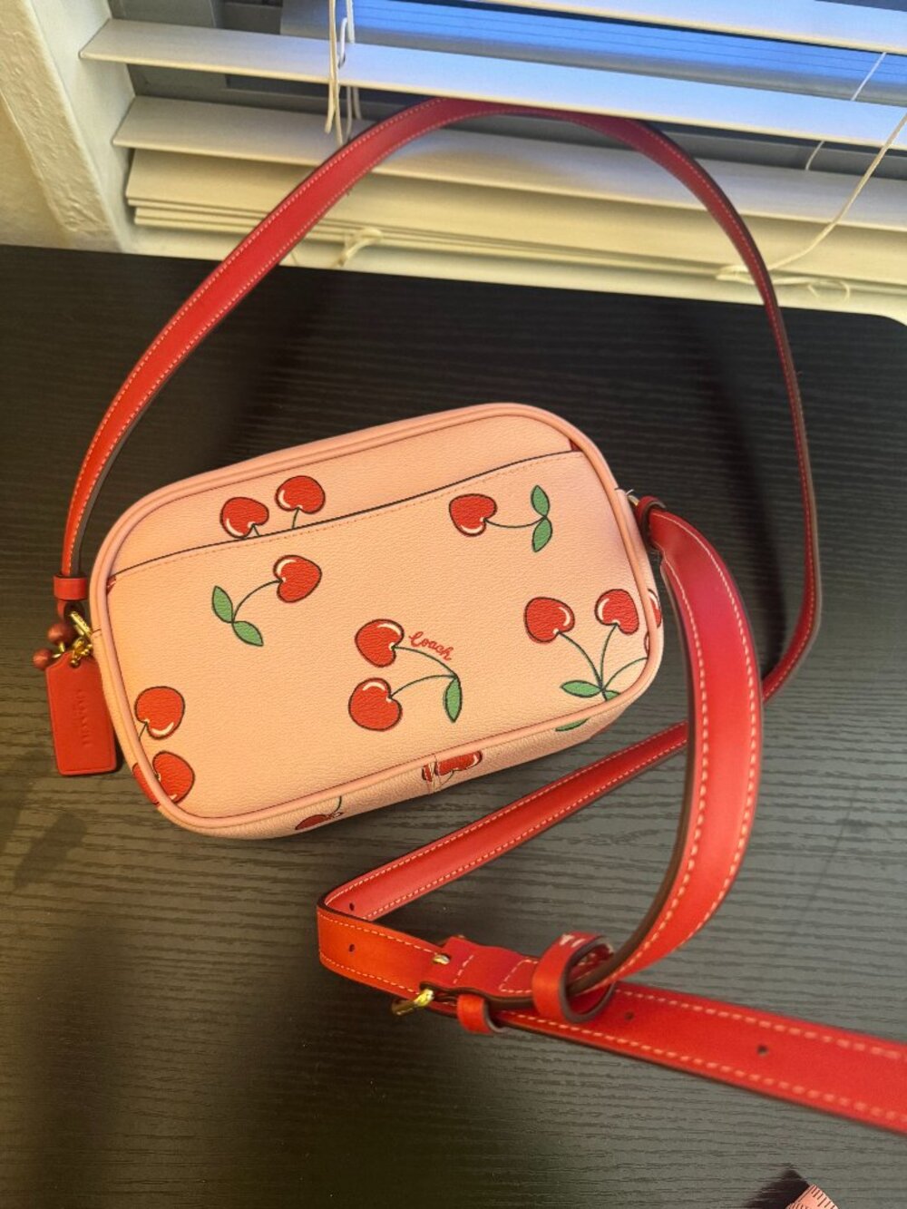Rare Coach Cherry Print Crossbody Bag 🍒